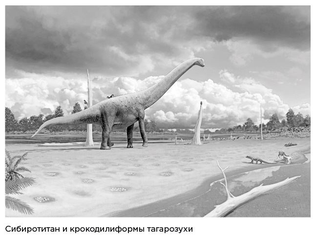 Иллюстрация к книге — Динозавры России. Прошлое, настоящее, будущее [i_045.jpg]
