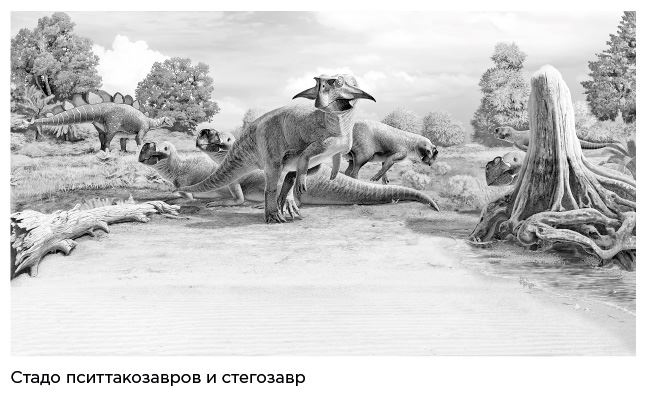 Иллюстрация к книге — Динозавры России. Прошлое, настоящее, будущее [i_046.jpg]