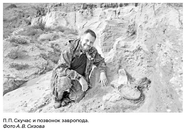 Иллюстрация к книге — Динозавры России. Прошлое, настоящее, будущее [i_050.jpg]