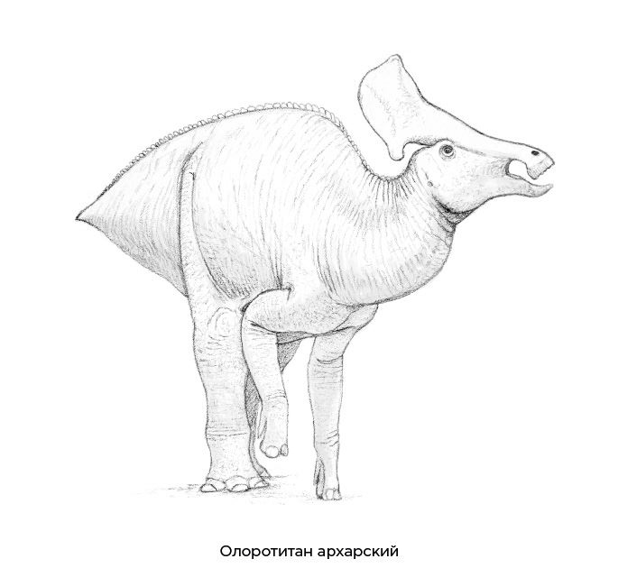 Иллюстрация к книге — Динозавры России. Прошлое, настоящее, будущее [i_051.jpg]