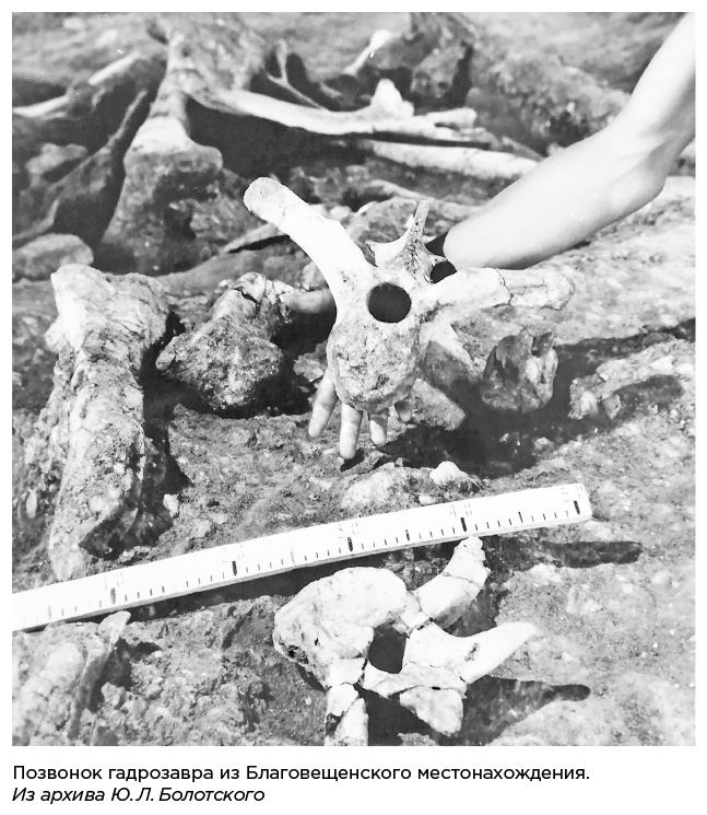 Иллюстрация к книге — Динозавры России. Прошлое, настоящее, будущее [i_053.jpg]