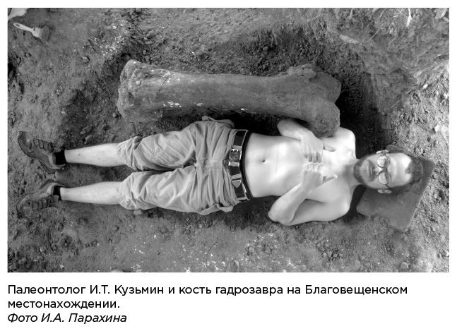 Иллюстрация к книге — Динозавры России. Прошлое, настоящее, будущее [i_054.jpg]