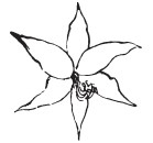 Иллюстрация к книге — Семь светочей архитектуры. Камни Венеции. Лекции об искусстве. Прогулки по Флоренции [i_037.jpg]