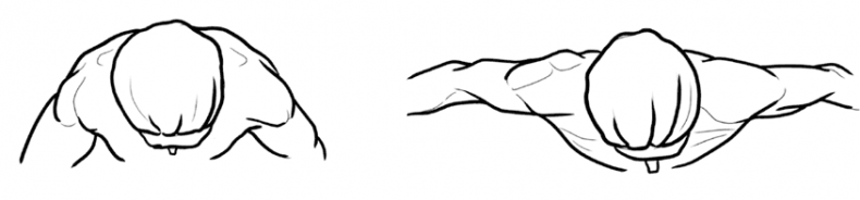 Иллюстрация к книге — Здоровое и красивое тело после 50. Простые способы сбросить или набрать вес [i_052.jpg]