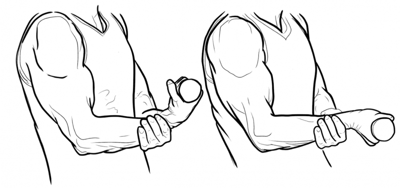 Иллюстрация к книге — Здоровое и красивое тело после 50. Простые способы сбросить или набрать вес [i_063.jpg]