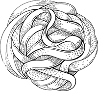 Иллюстрация к книге — Краткая история пасты. От тортеллини до карбонары [i_001.jpg]