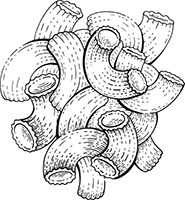 Иллюстрация к книге — Краткая история пасты. От тортеллини до карбонары [i_008.jpg]