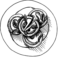 Иллюстрация к книге — Краткая история пасты. От тортеллини до карбонары [i_011.jpg]