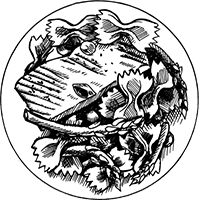 Иллюстрация к книге — Краткая история пасты. От тортеллини до карбонары [i_014.jpg]