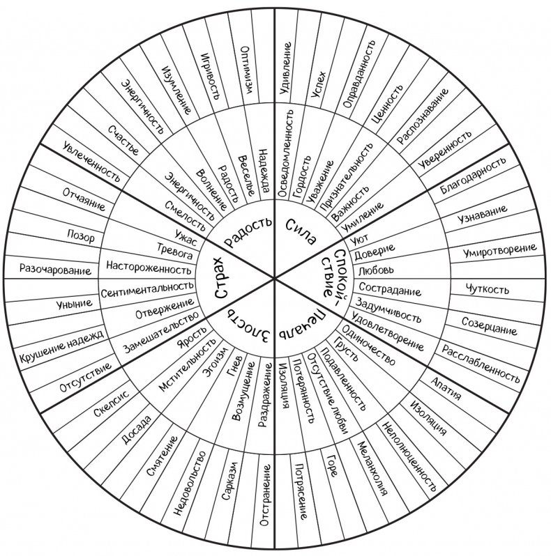 Иллюстрация к книге — Включи мое сердце на «пять» [i_003.jpg]