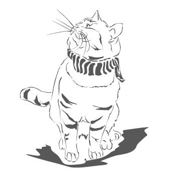 Иллюстрация к книге — Тайна уличного кота [i_009.jpg]