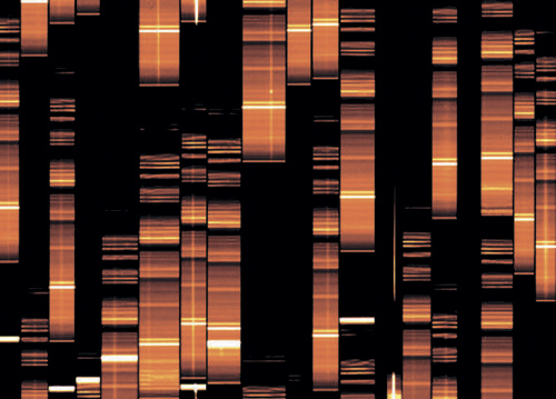 Иллюстрация к книге — Галактики. Большой путеводитель по Вселенной [i_037.jpg]