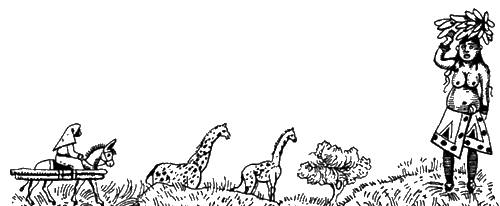 Иллюстрация к книге — Средневековый Восток [i_021.jpg]