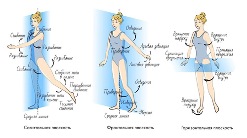 Иллюстрация к книге — Йога. Современное руководство по решению проблем [i_003.jpg]