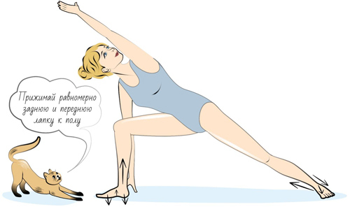 Иллюстрация к книге — Йога. Современное руководство по решению проблем [i_013.jpg]