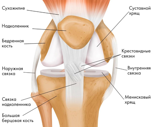 Иллюстрация к книге — Йога. Современное руководство по решению проблем [i_014.jpg]
