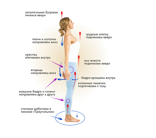 Иллюстрация к книге — Йога. Современное руководство по решению проблем [i_024.jpg]