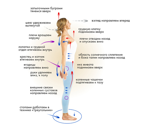 Иллюстрация к книге — Йога. Современное руководство по решению проблем [i_025.jpg]