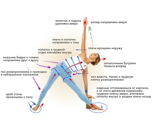 Иллюстрация к книге — Йога. Современное руководство по решению проблем [i_039.jpg]