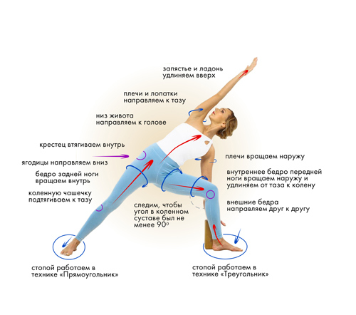 Иллюстрация к книге — Йога. Современное руководство по решению проблем [i_047.jpg]