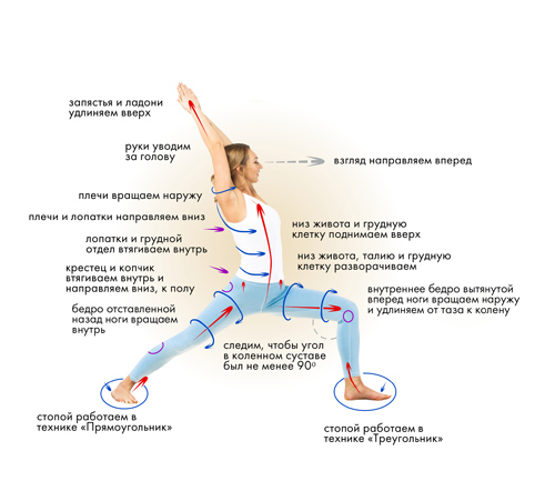 Иллюстрация к книге — Йога. Современное руководство по решению проблем [i_056.jpg]