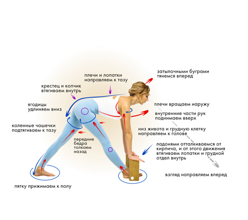 Иллюстрация к книге — Йога. Современное руководство по решению проблем [i_060.jpg]