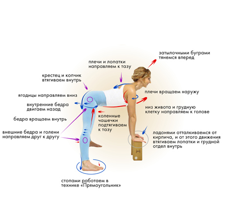 Иллюстрация к книге — Йога. Современное руководство по решению проблем [i_068.jpg]
