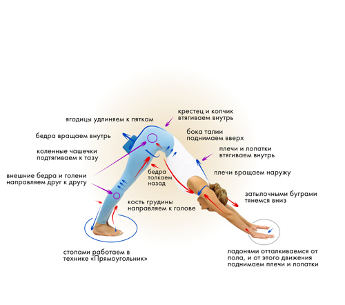 Иллюстрация к книге — Йога. Современное руководство по решению проблем [i_072.jpg]