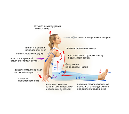Иллюстрация к книге — Йога. Современное руководство по решению проблем [i_082.jpg]