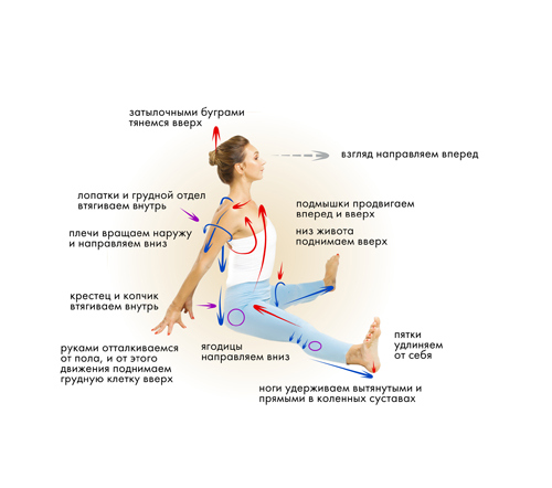 Иллюстрация к книге — Йога. Современное руководство по решению проблем [i_086.jpg]