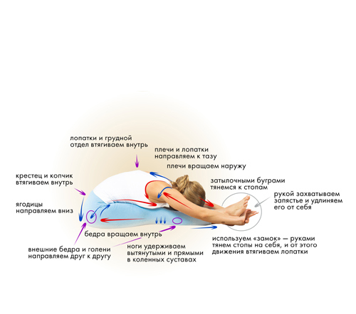 Иллюстрация к книге — Йога. Современное руководство по решению проблем [i_090.jpg]