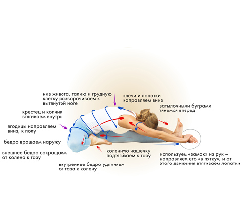 Иллюстрация к книге — Йога. Современное руководство по решению проблем [i_094.jpg]
