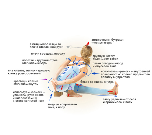 Иллюстрация к книге — Йога. Современное руководство по решению проблем [i_102.jpg]