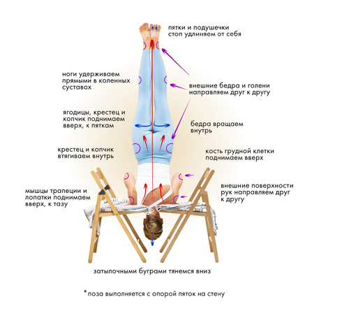 Иллюстрация к книге — Йога. Современное руководство по решению проблем [i_130.jpg]