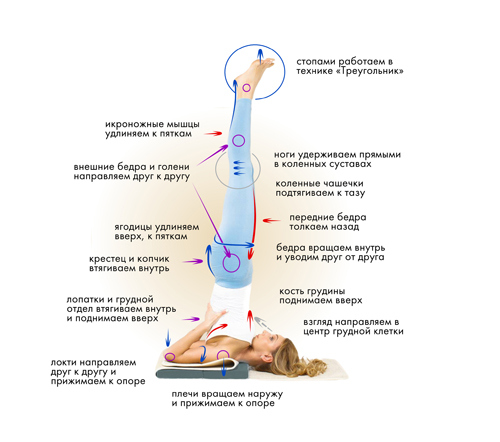 Иллюстрация к книге — Йога. Современное руководство по решению проблем [i_135.jpg]