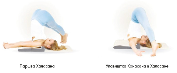 Иллюстрация к книге — Йога. Современное руководство по решению проблем [i_142.jpg]