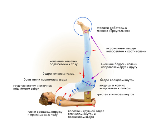 Иллюстрация к книге — Йога. Современное руководство по решению проблем [i_151.jpg]