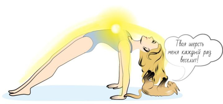 Иллюстрация к книге — Йога. Современное руководство по решению проблем [i_166.jpg]