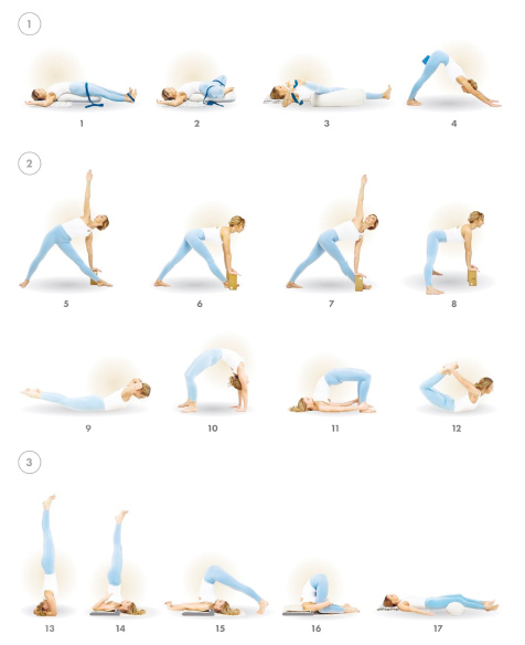 Иллюстрация к книге — Йога. Современное руководство по решению проблем [i_181.jpg]