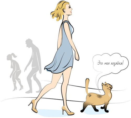 Иллюстрация к книге — Йога. Современное руководство по решению проблем [i_185.jpg]