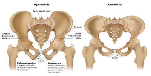 Иллюстрация к книге — Йога. Современное руководство по решению проблем [i_191.jpg]