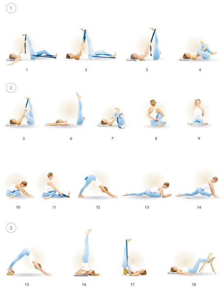 Иллюстрация к книге — Йога. Современное руководство по решению проблем [i_196.jpg]