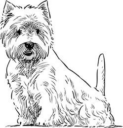 Иллюстрация к книге — Самая белая ночь [block_0013201.jpg]