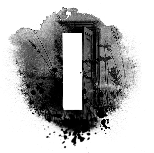 Иллюстрация к книге — Галлант [i_009.jpg]