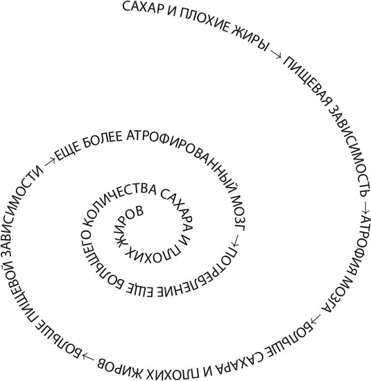 Иллюстрация к книге — Независимый мозг. Эффективная программа по проработке эмоций, преодолению стресса и формированию новых пищевых стратегий [i_004.jpg]