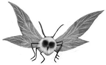 Иллюстрация к книге — Давай играть [i_043.jpg]