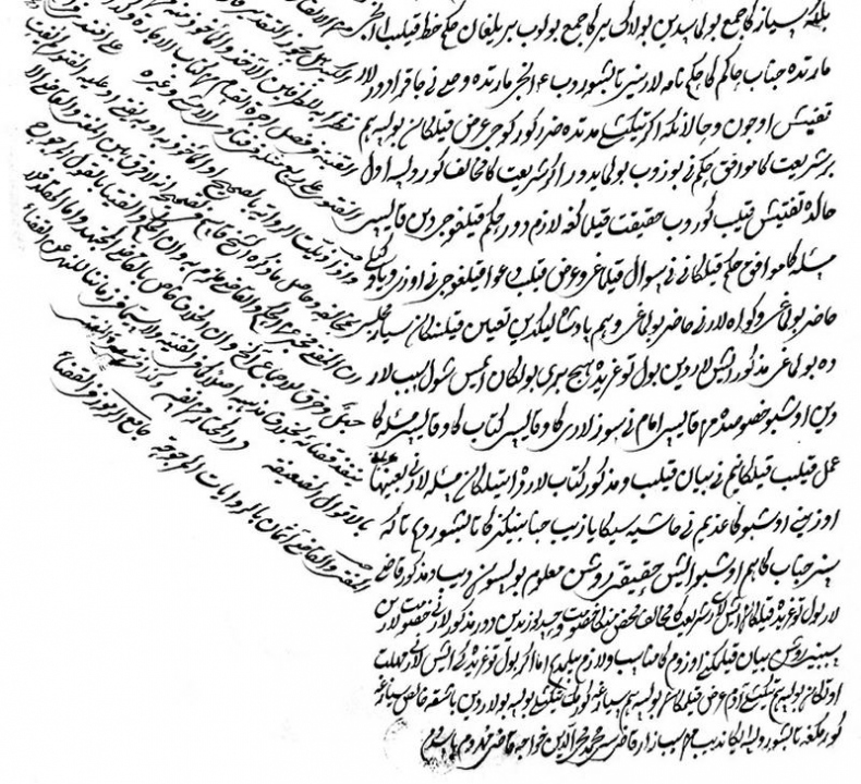 Иллюстрация к книге — Идеи о справедливости: шариат и культурные изменения в русском Туркестане [i_017.jpg]