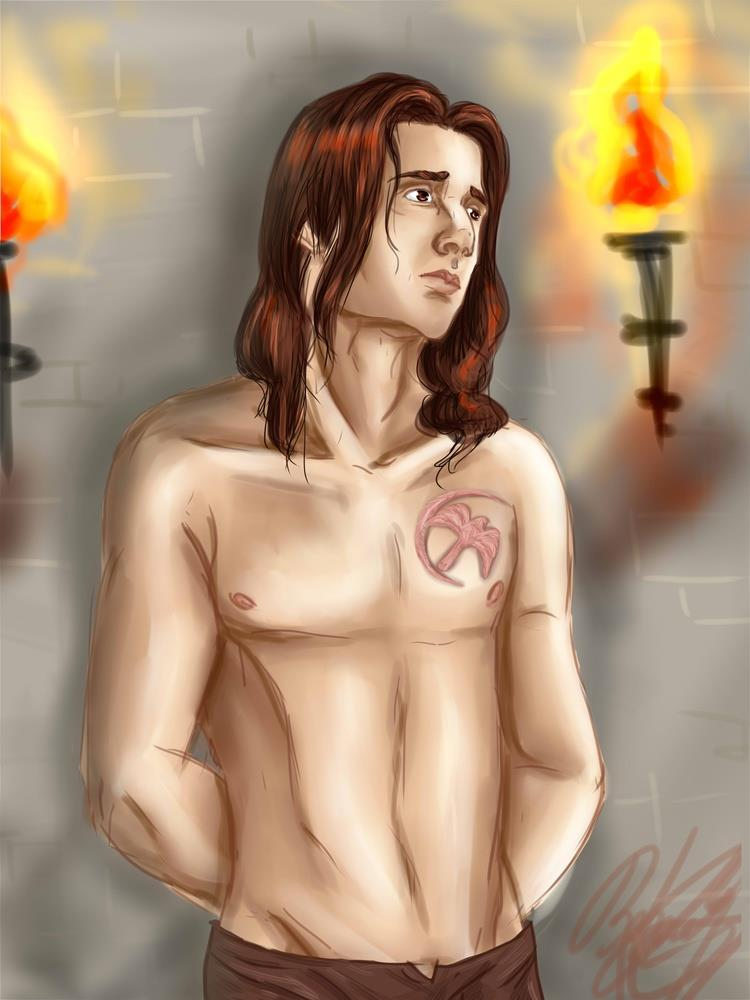 Иллюстрация к книге — Сокола видно по полёту [image4.jpg]