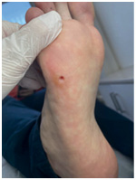 Иллюстрация к книге — Подология понятно. Важен каждый шаг. Справочник по проблемам подологии для клиентов и мастеров эстетики [i_017.jpg]