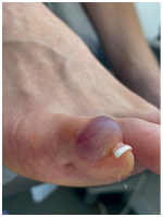 Иллюстрация к книге — Подология понятно. Важен каждый шаг. Справочник по проблемам подологии для клиентов и мастеров эстетики [i_025.jpg]